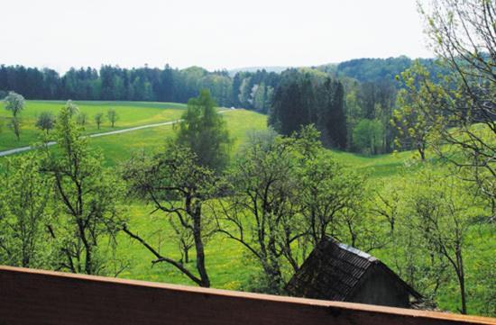 Gasthaus Zur Krone Freiamt Exterior foto